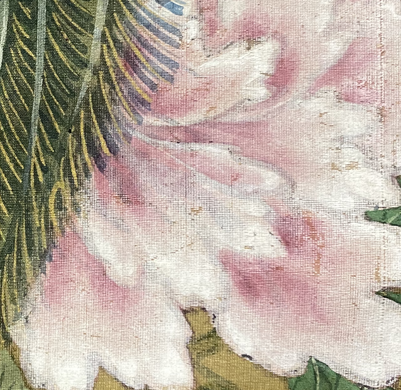 カラー