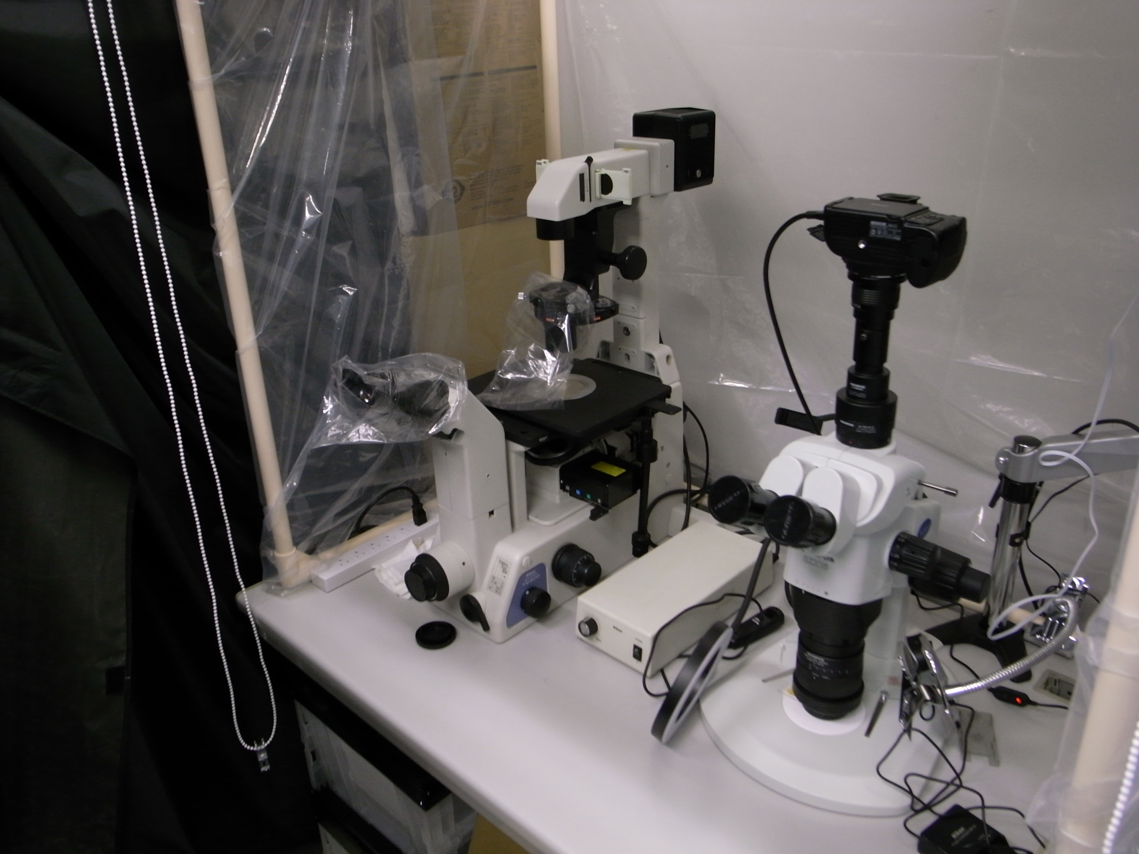 位相差顕微鏡スペース